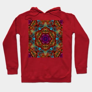 Magical vibrant web Hoodie